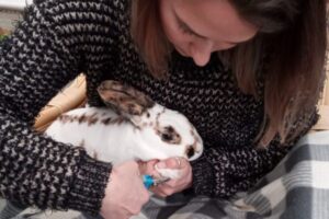 trimming rabbit nails Pet sitter in Sevenoaks Lucy guinea pig Onyx