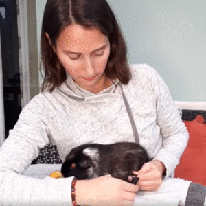 Guinea Pig Nail Trimming Video Guide
